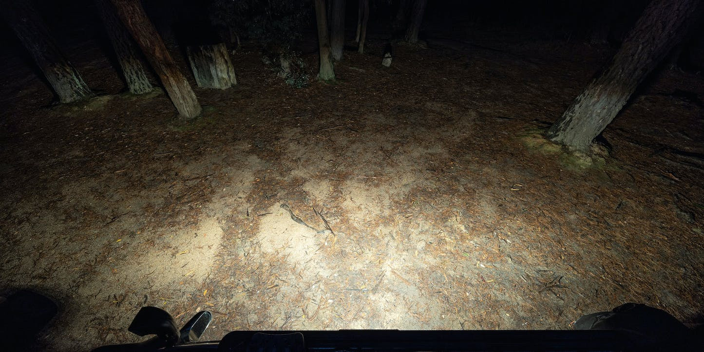 STEDI MICRO V2 13.9 INCH 24 LED FLOOD LIGHT (5700K)