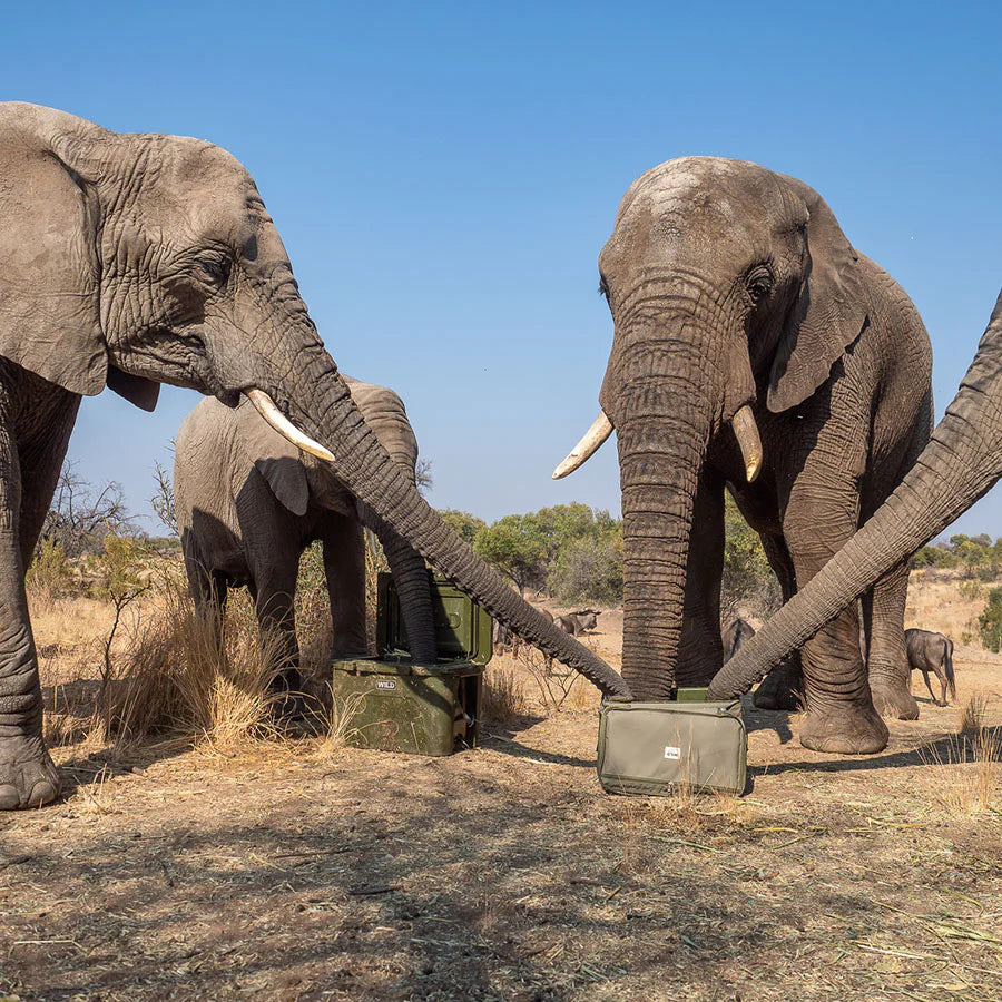 WILD COOLERS - SOFT SHELL 45 COOLER CAMO GREEN